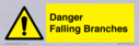 danger-falling-branches~